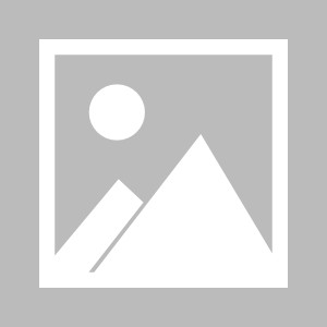 九州体育-挪威队实力强劲，冲刺冠军之途(挪威队名单)